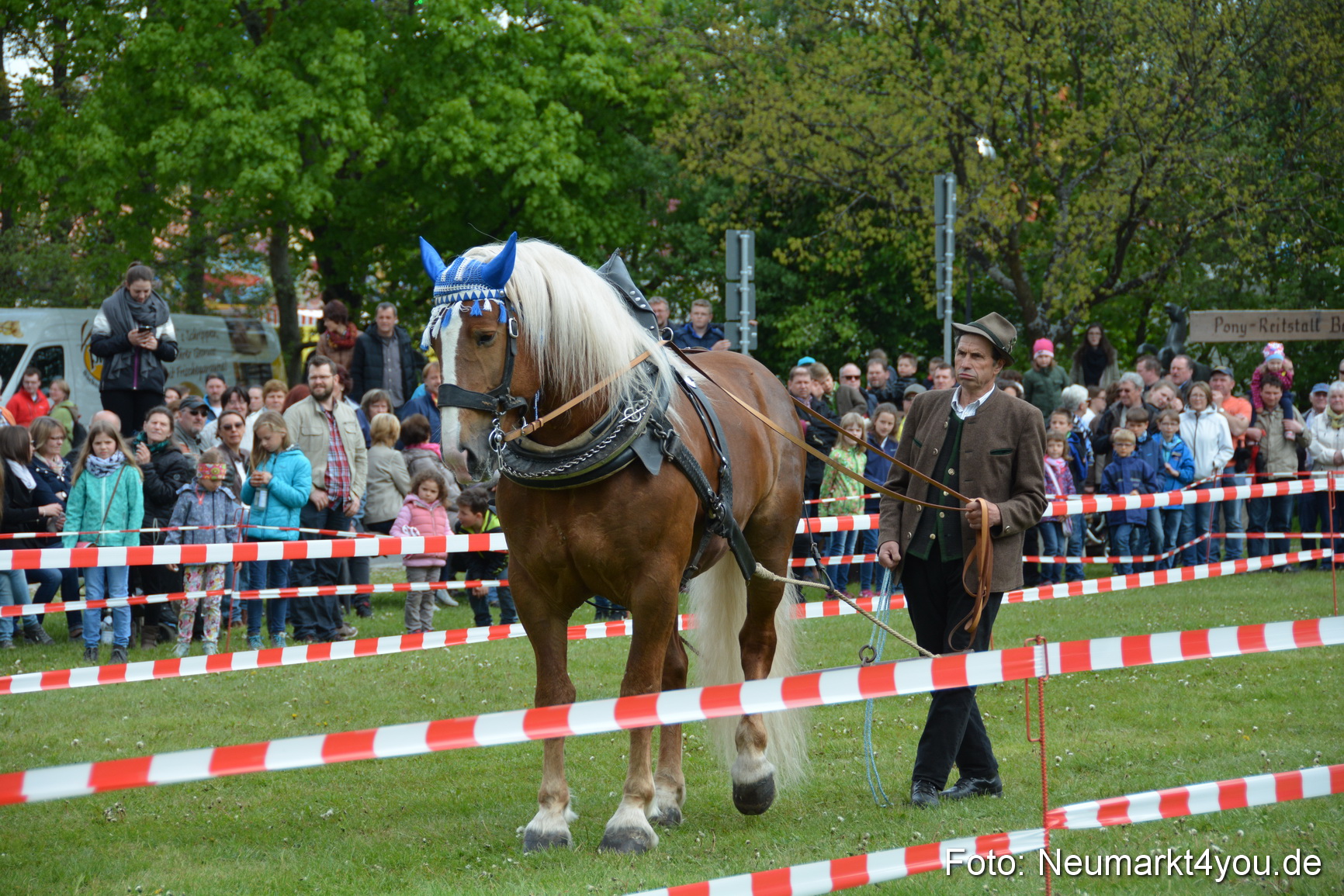 Eselrennen Fruehlingsfest 2017 0137
