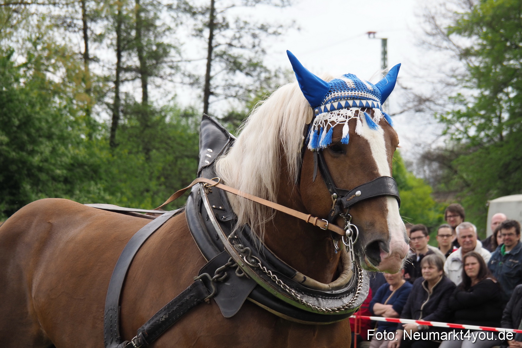 Eselrennen Fruehlingsfest 2017 0138