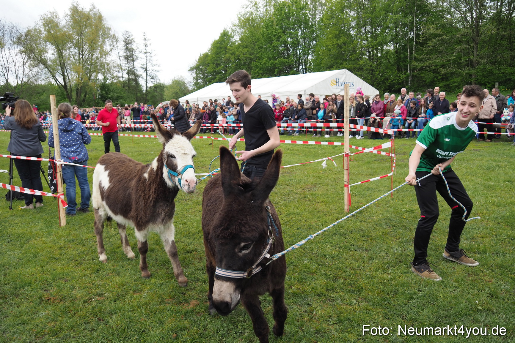 Eselrennen Fruehlingsfest 2017 0146