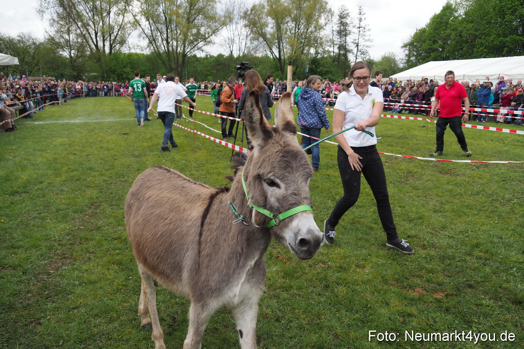 Eselrennen Fruehlingsfest 2017 0158