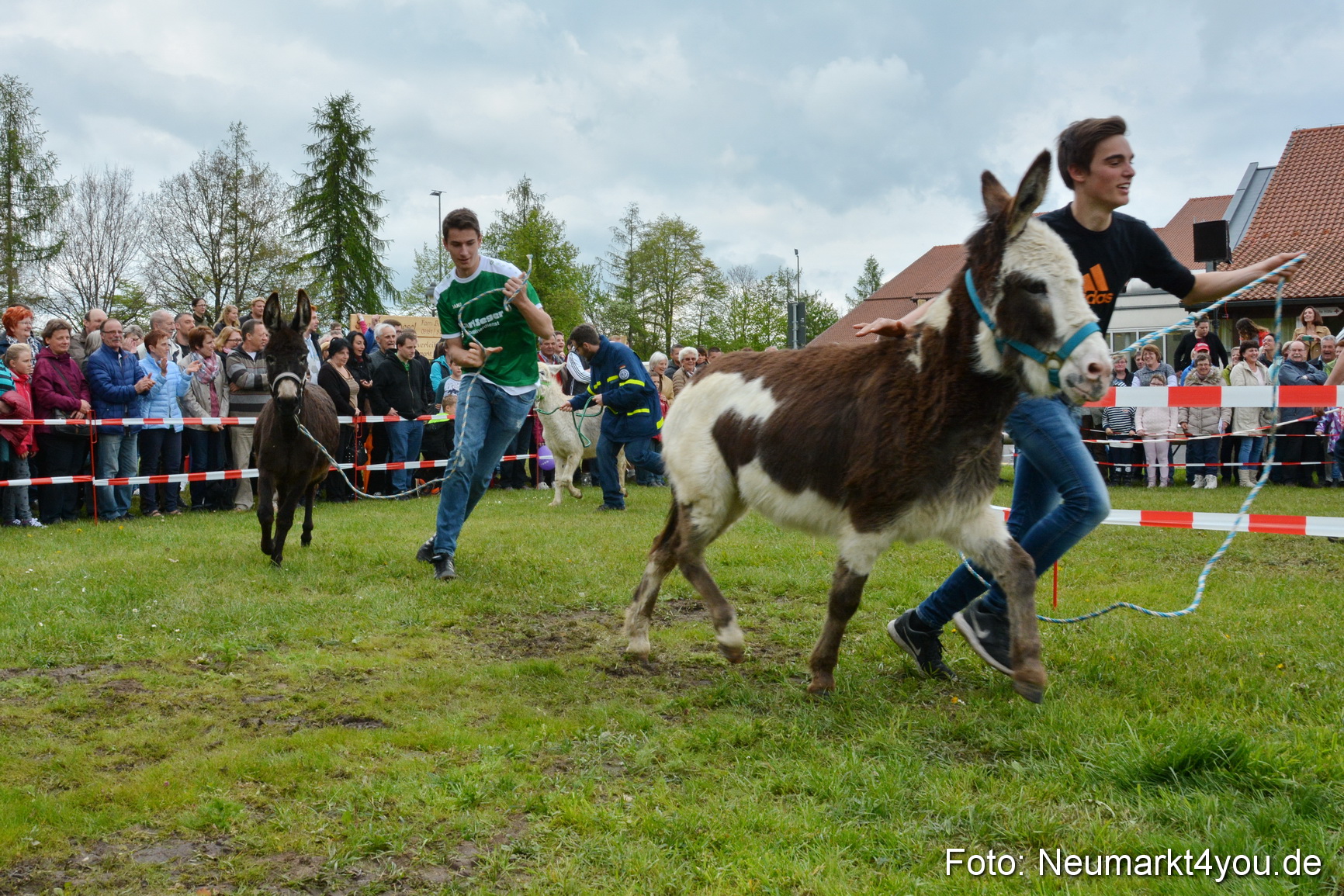Eselrennen Fruehlingsfest 2017 0159