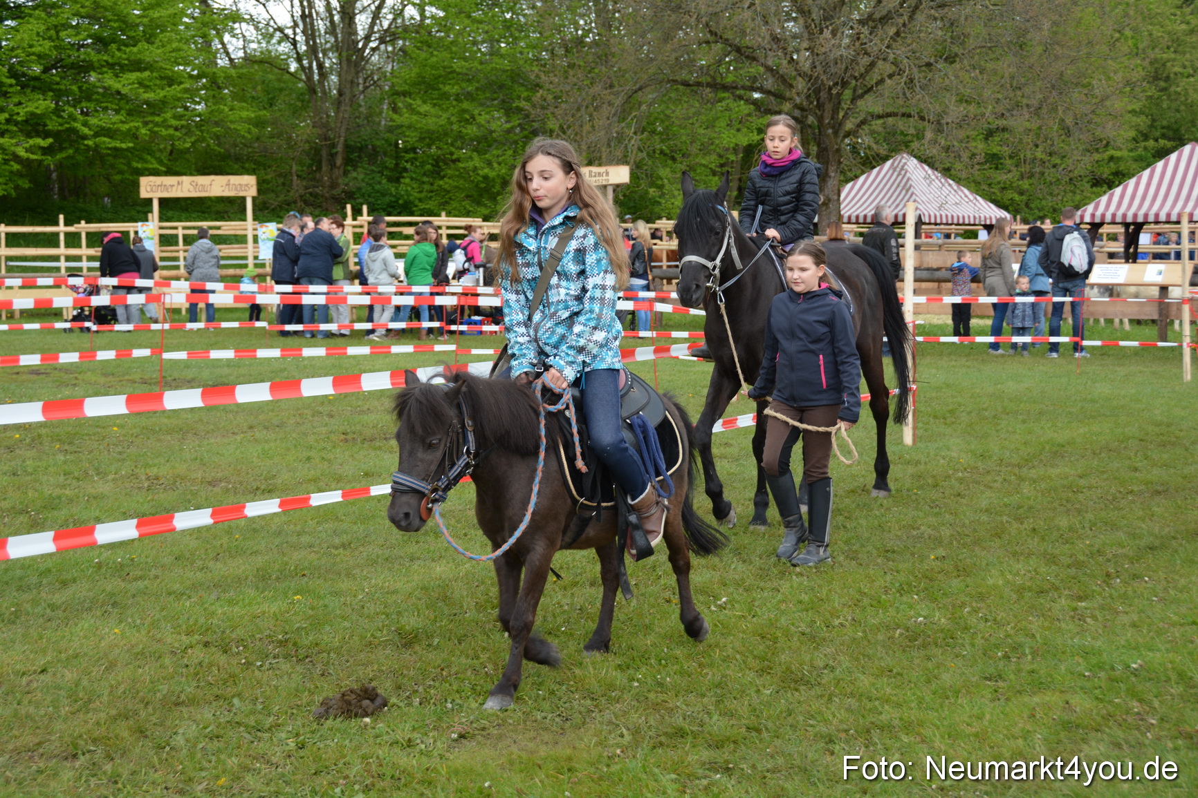 Fruehlingsfest Ausstellung 2017 0001