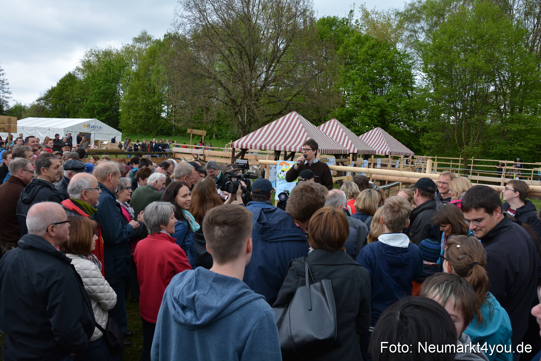 Fruehlingsfest Ausstellung 2017 0002