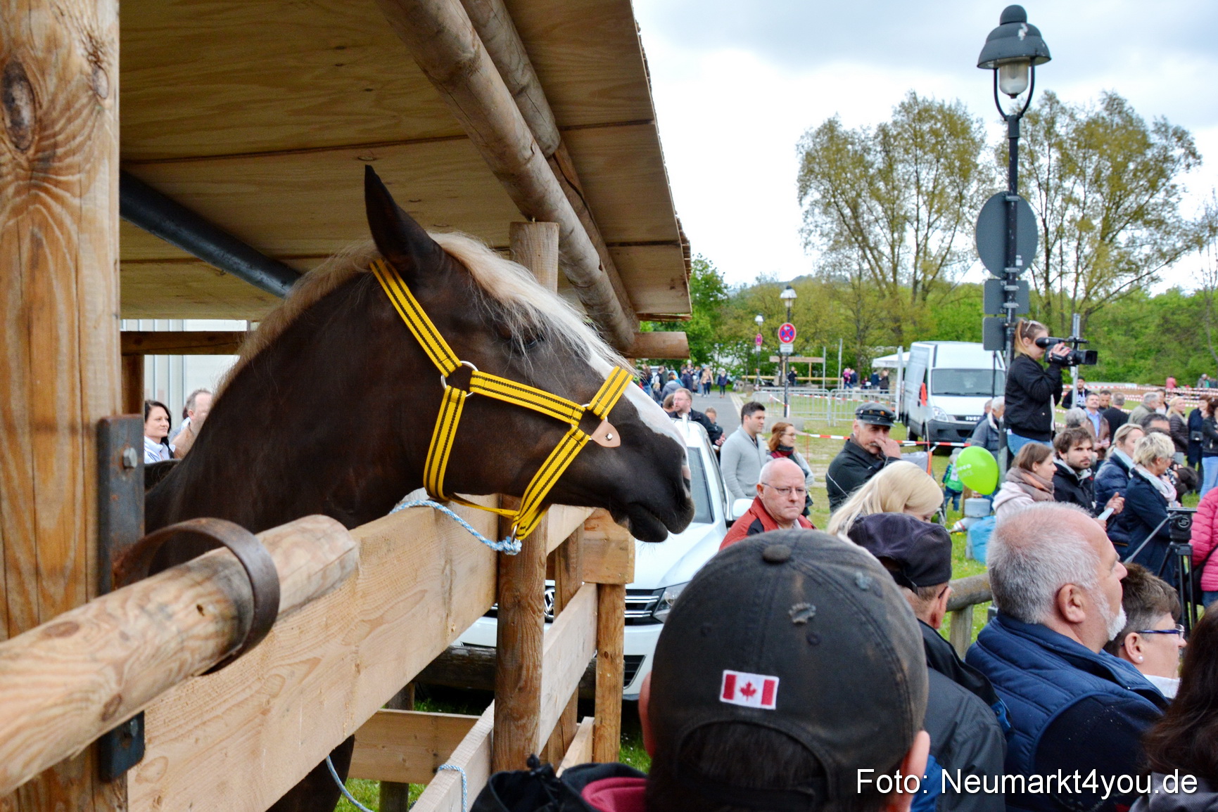 Fruehlingsfest Ausstellung 2017 0005