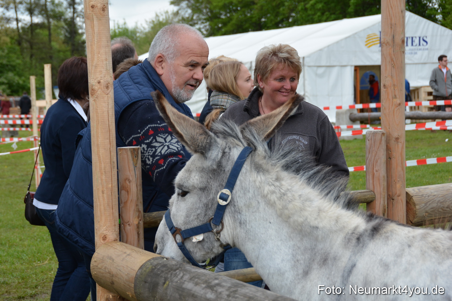 Fruehlingsfest Ausstellung 2017 0010