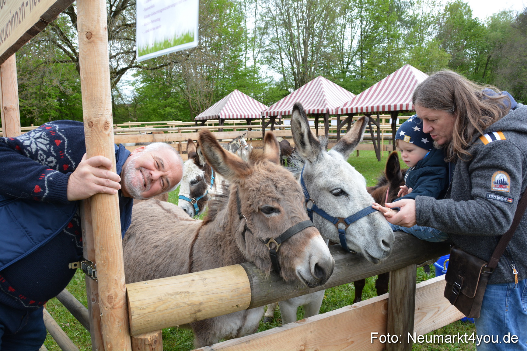 Fruehlingsfest Ausstellung 2017 0012