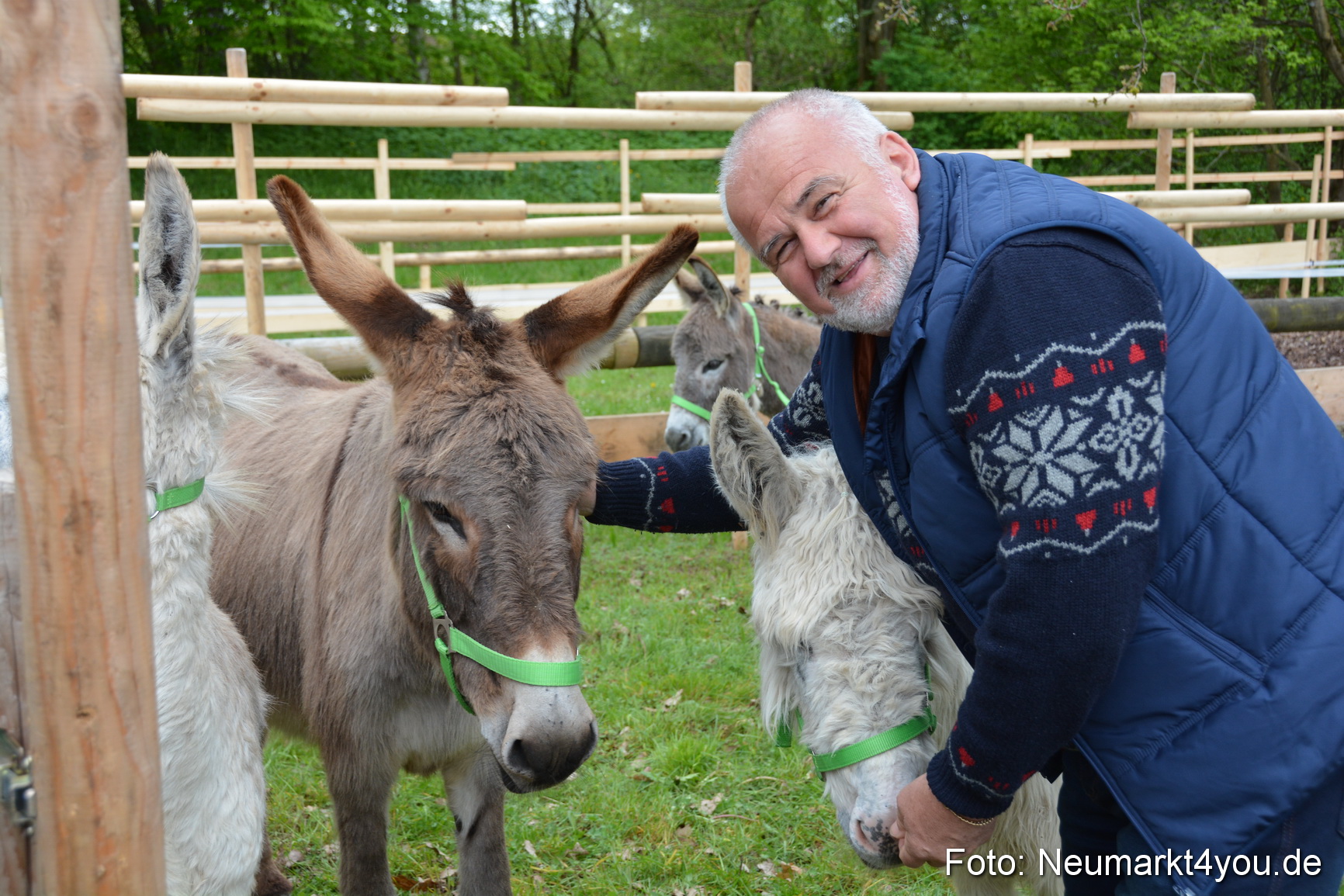 Fruehlingsfest Ausstellung 2017 0020