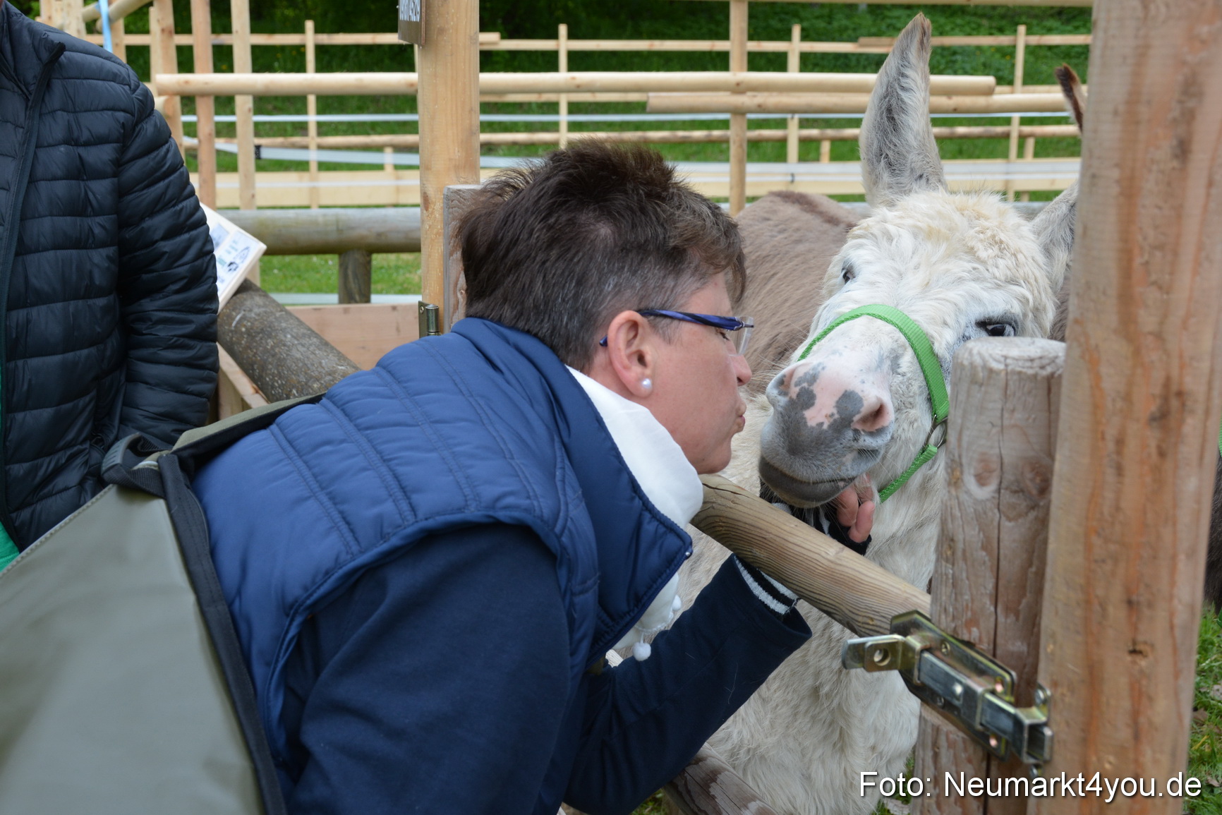 Fruehlingsfest Ausstellung 2017 0021