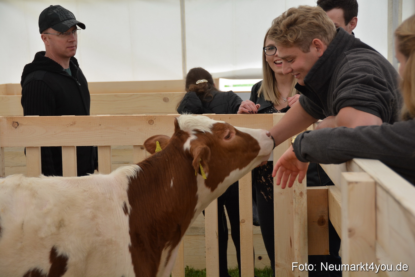 Fruehlingsfest Ausstellung 2017 0030