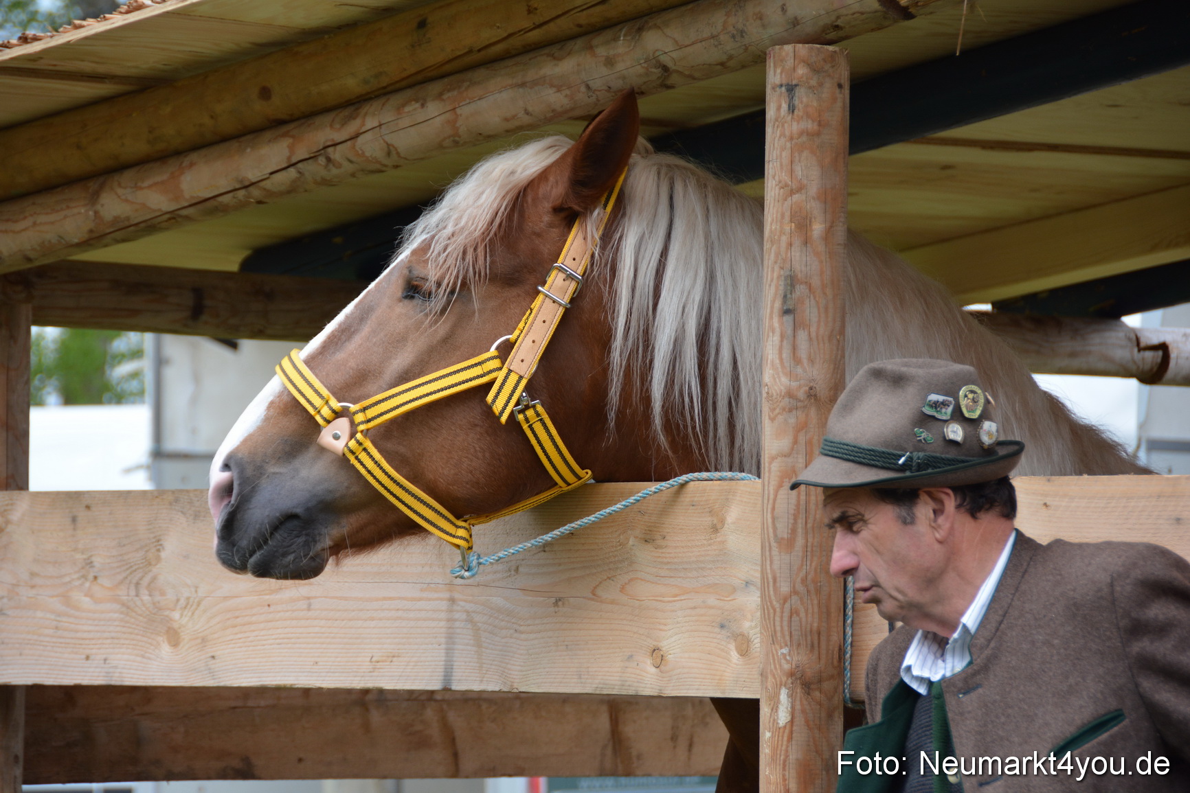 Fruehlingsfest Ausstellung 2017 0048