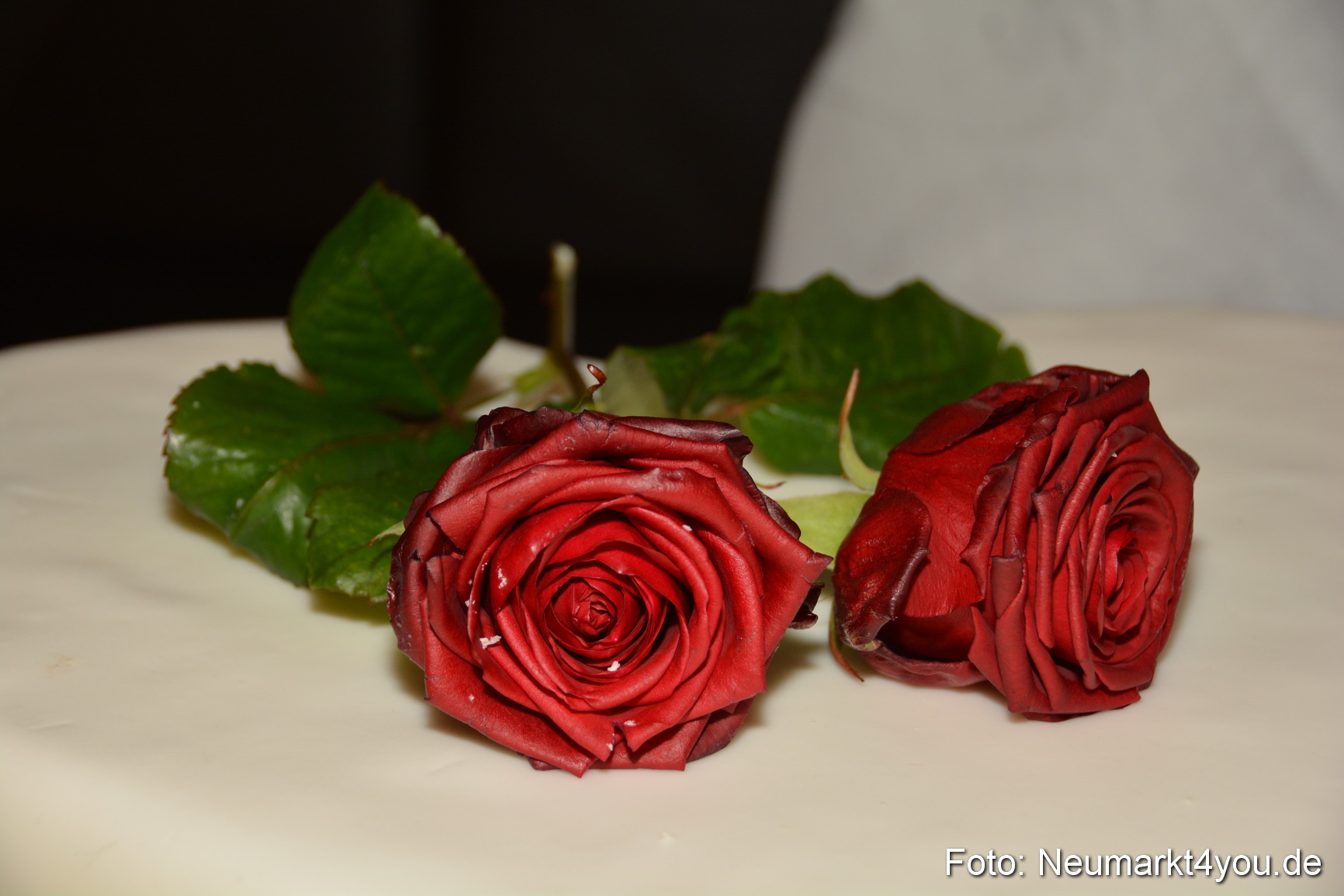 Hochzeitsmesse Neumarkt 2017 0035