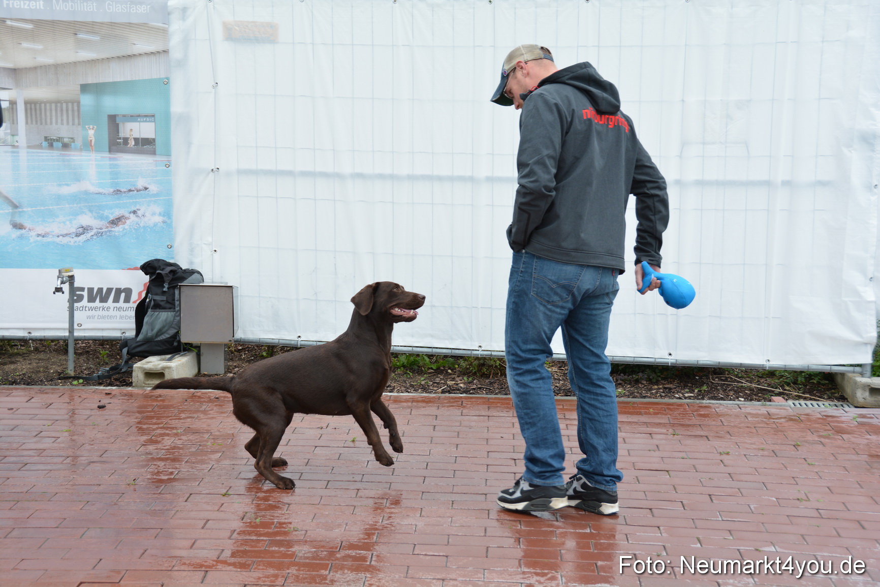 Hundeschwimmen im Freibad 071017 0061