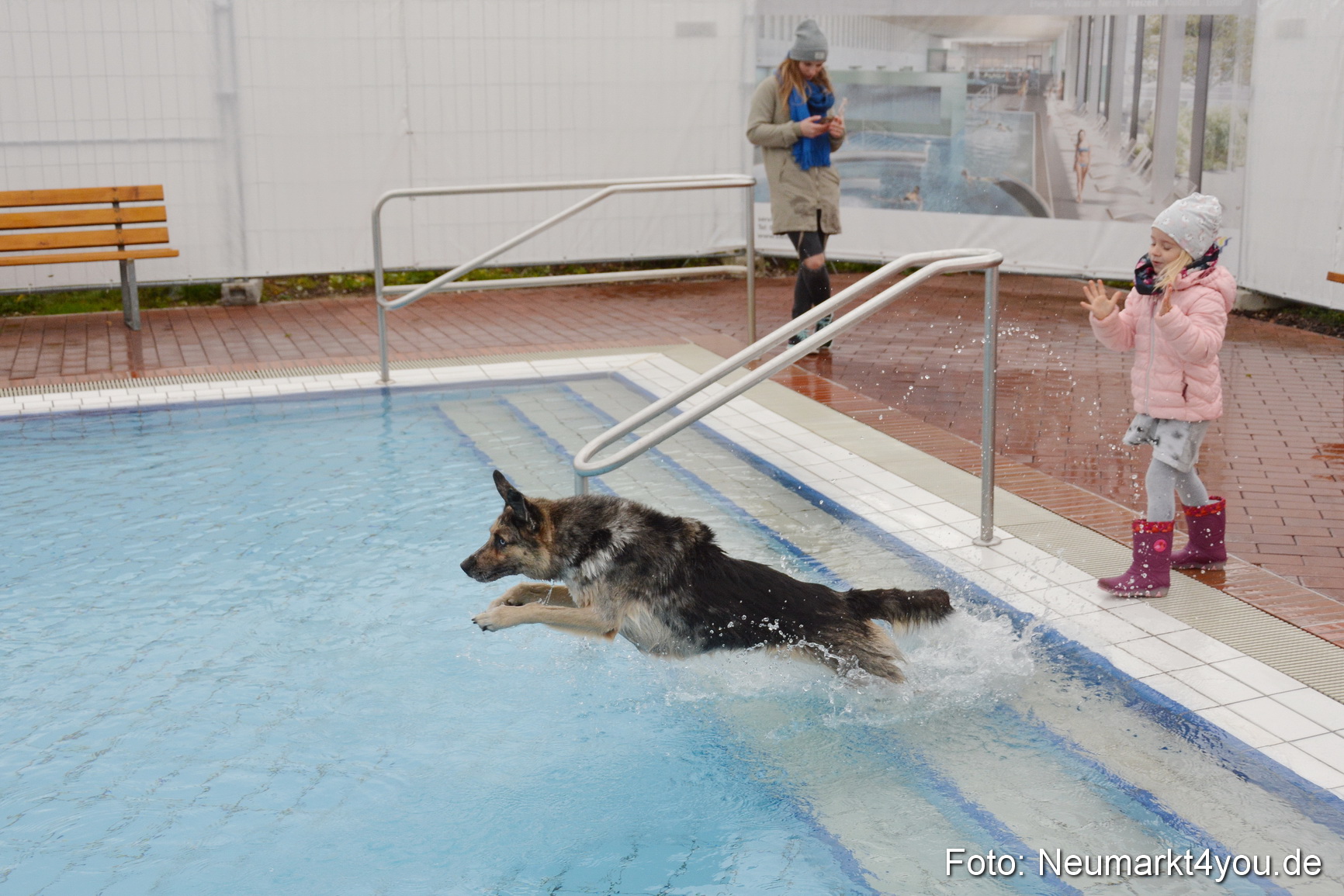 Hundeschwimmen im Freibad 071017 0080
