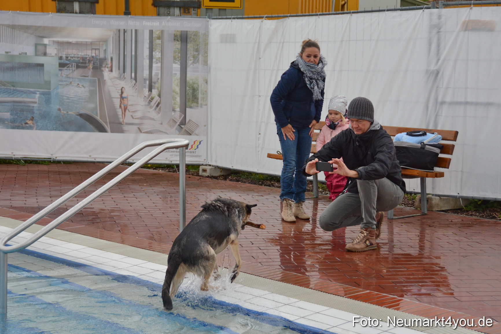 Hundeschwimmen im Freibad 071017 0088