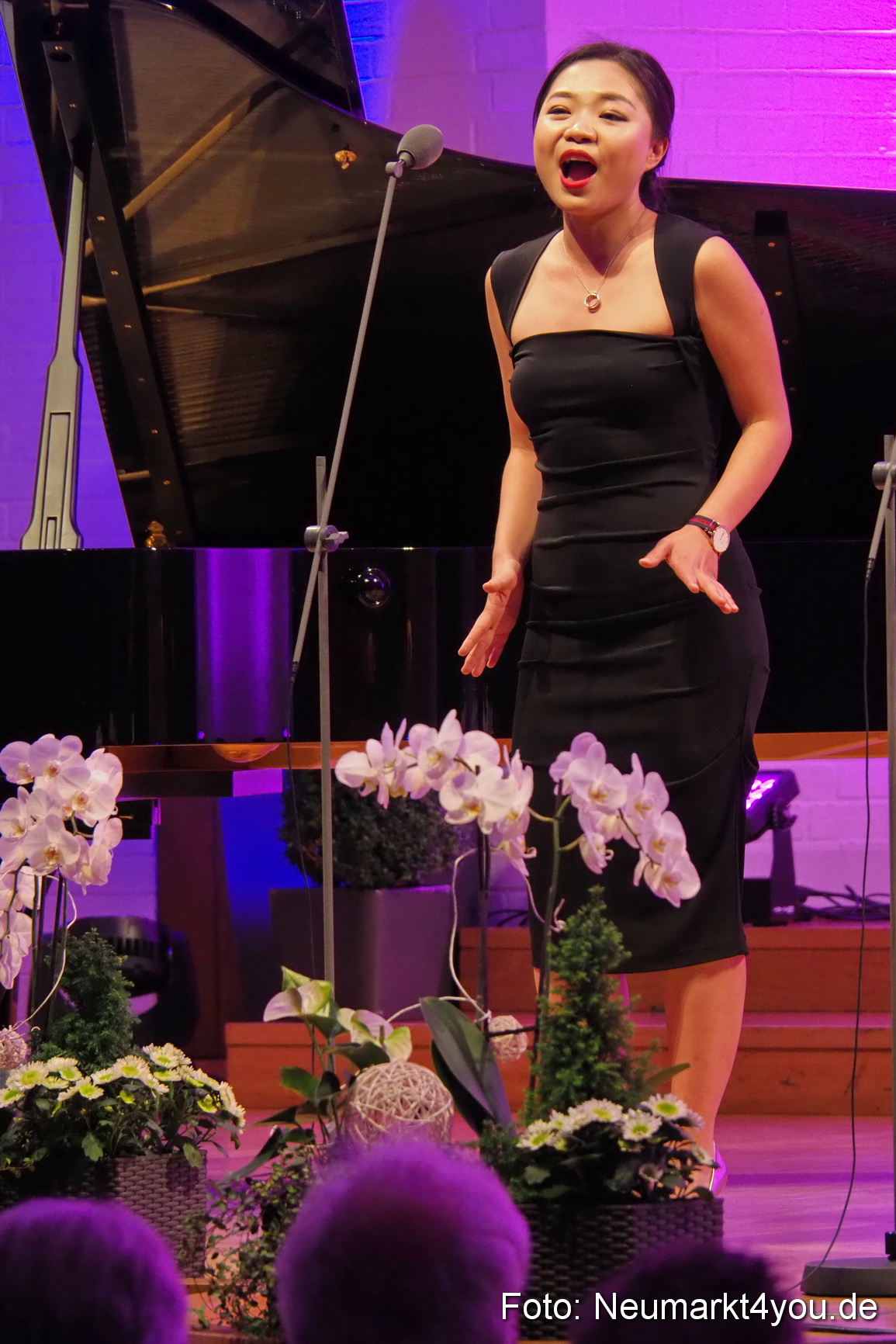 IMA Cabaret Abschlusskonzert 2017 0041