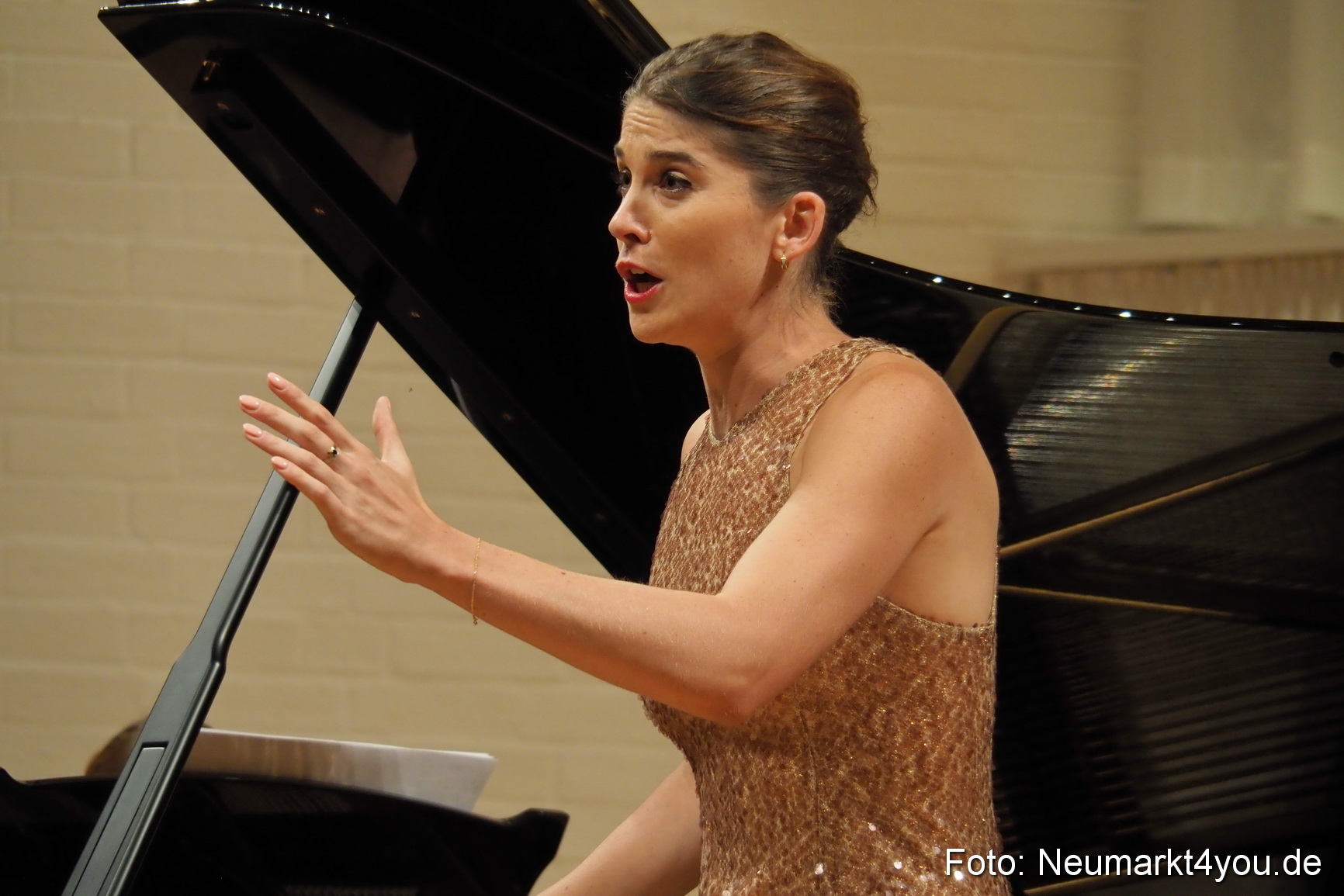 Operngala bei der IMA 2017 0017