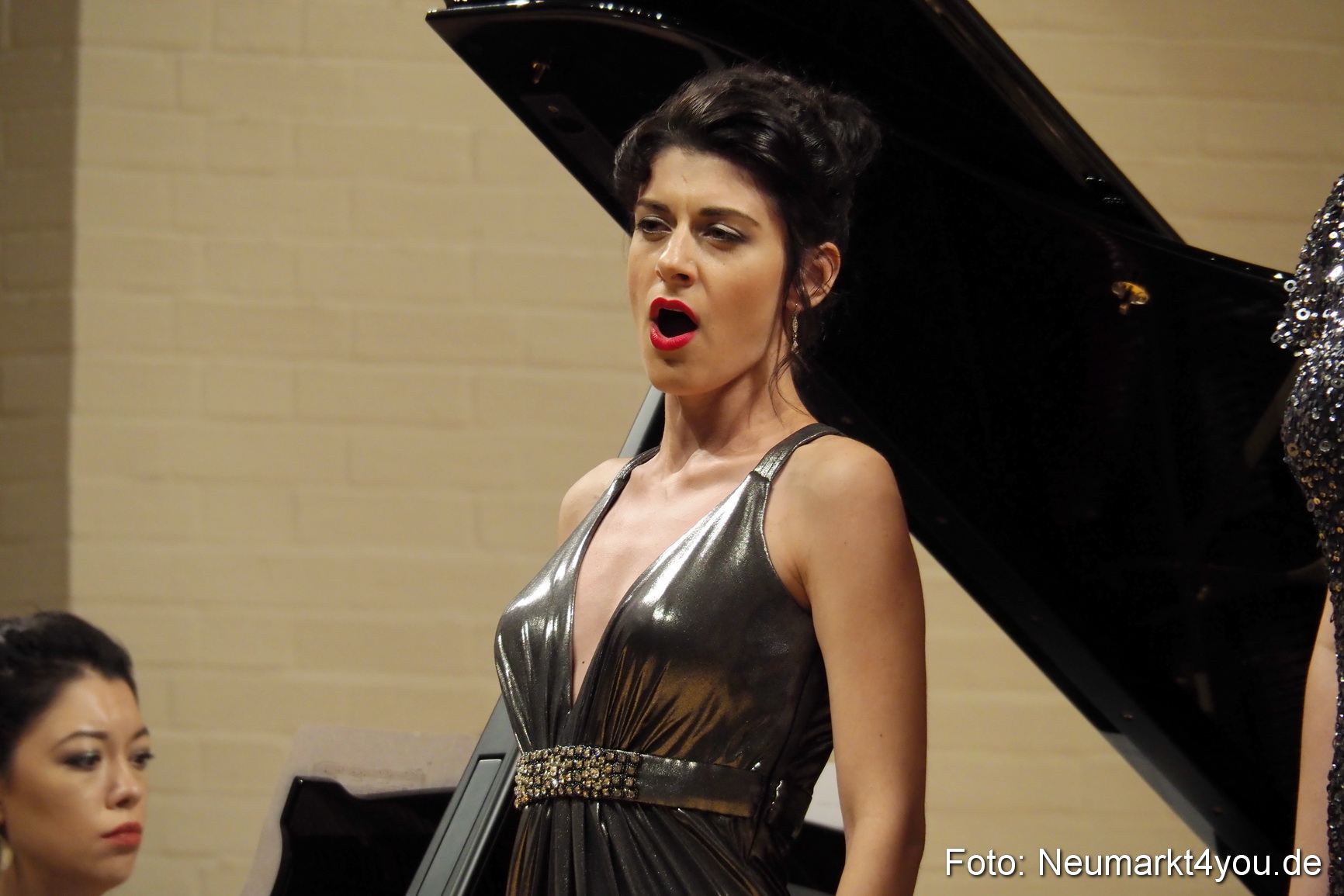 Operngala bei der IMA 2017 0040