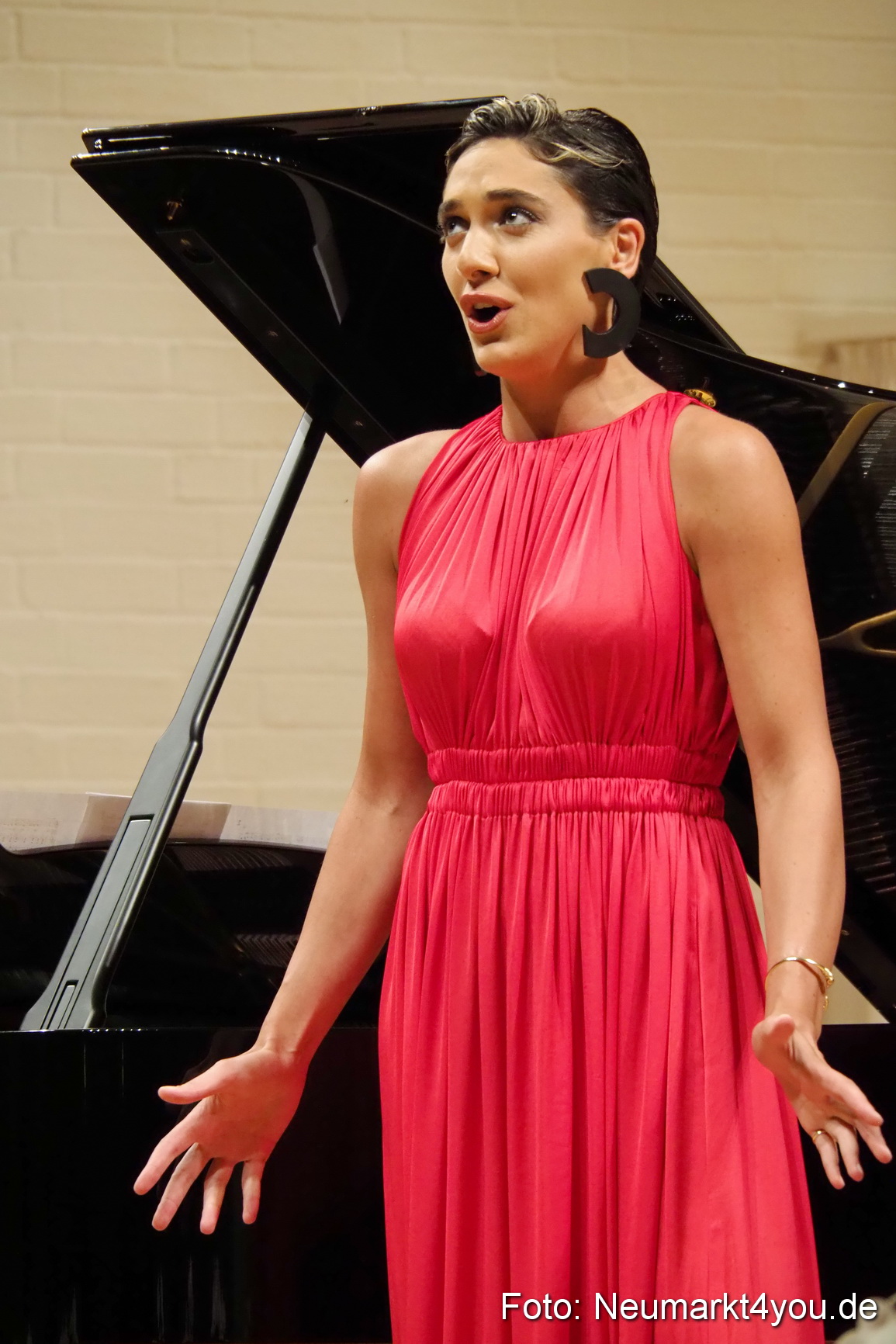 Operngala bei der IMA 2017 0042