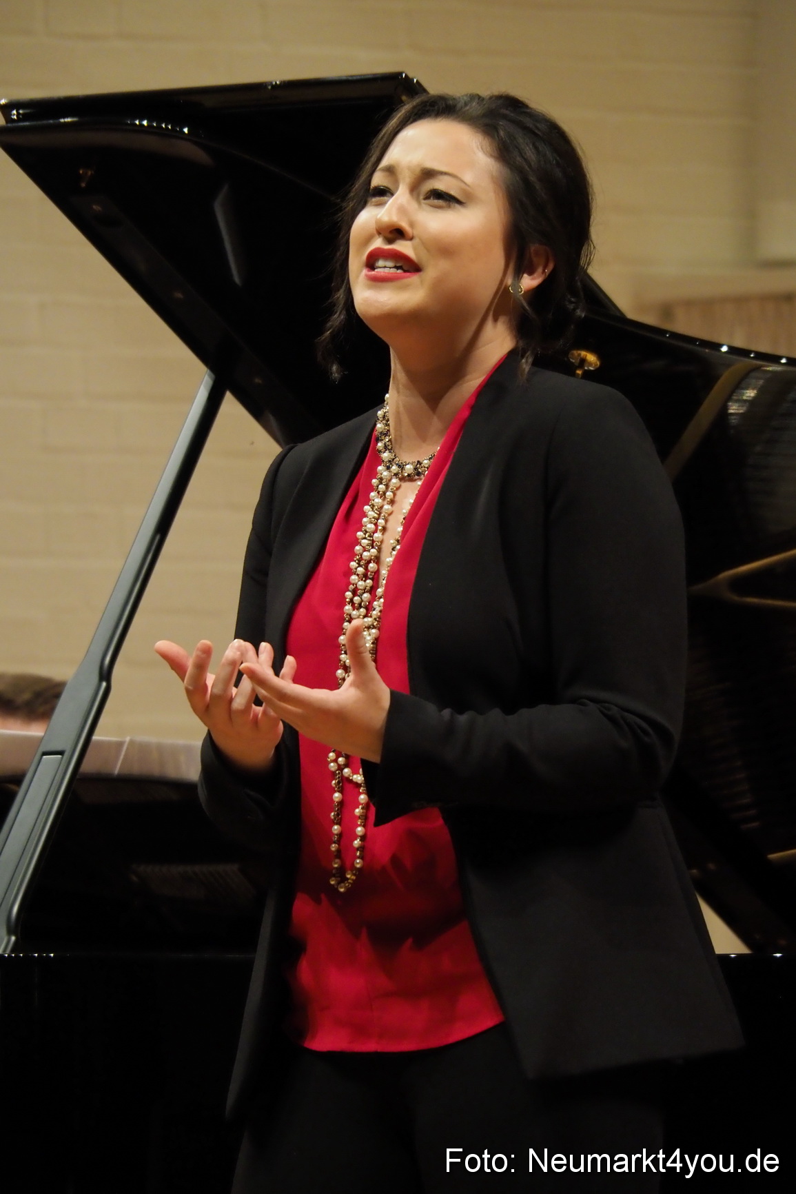 Operngala bei der IMA 2017 0065