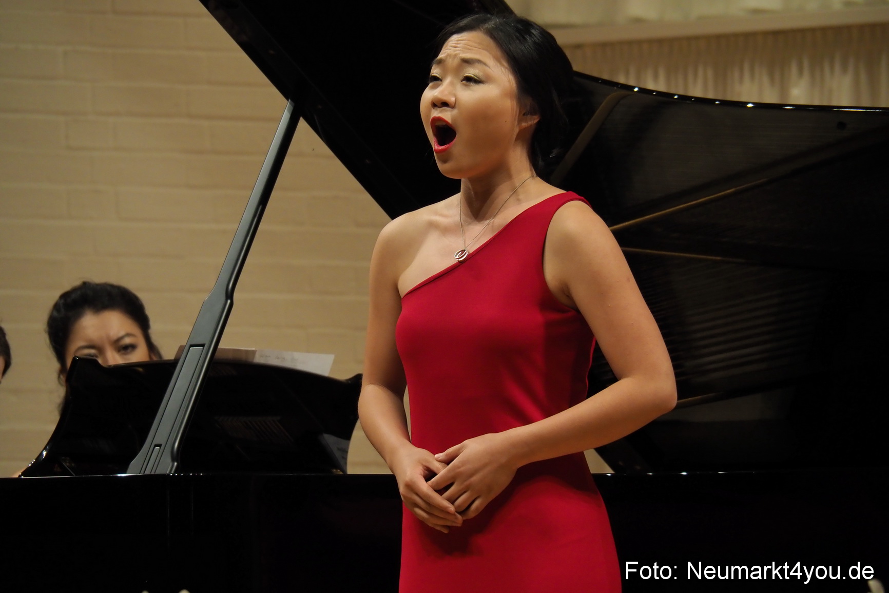 Operngala bei der IMA 2017 0083