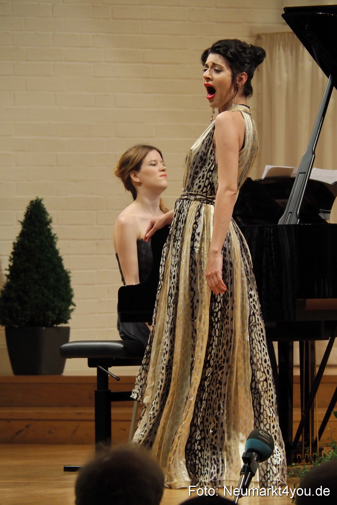 Operngala bei der IMA 2017 0089