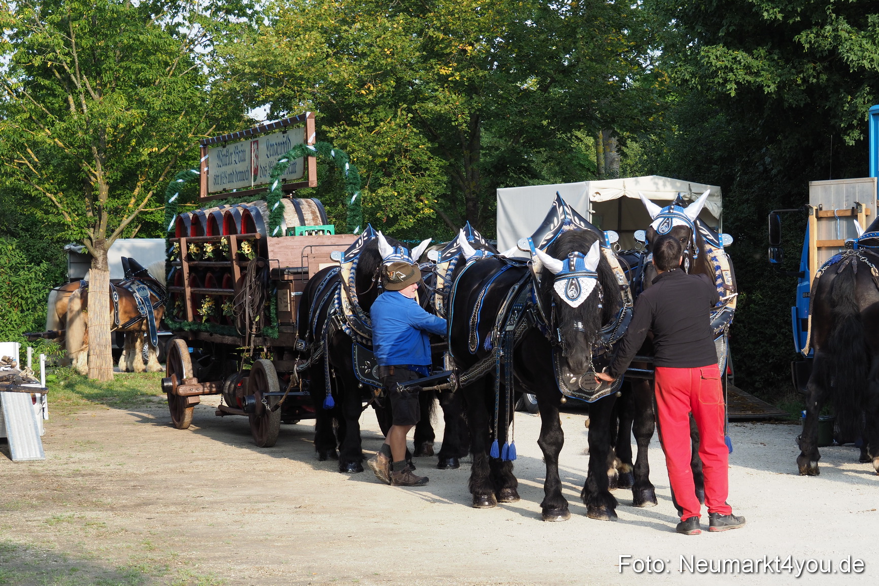 Pferde und Fohlenschau 2017 0001