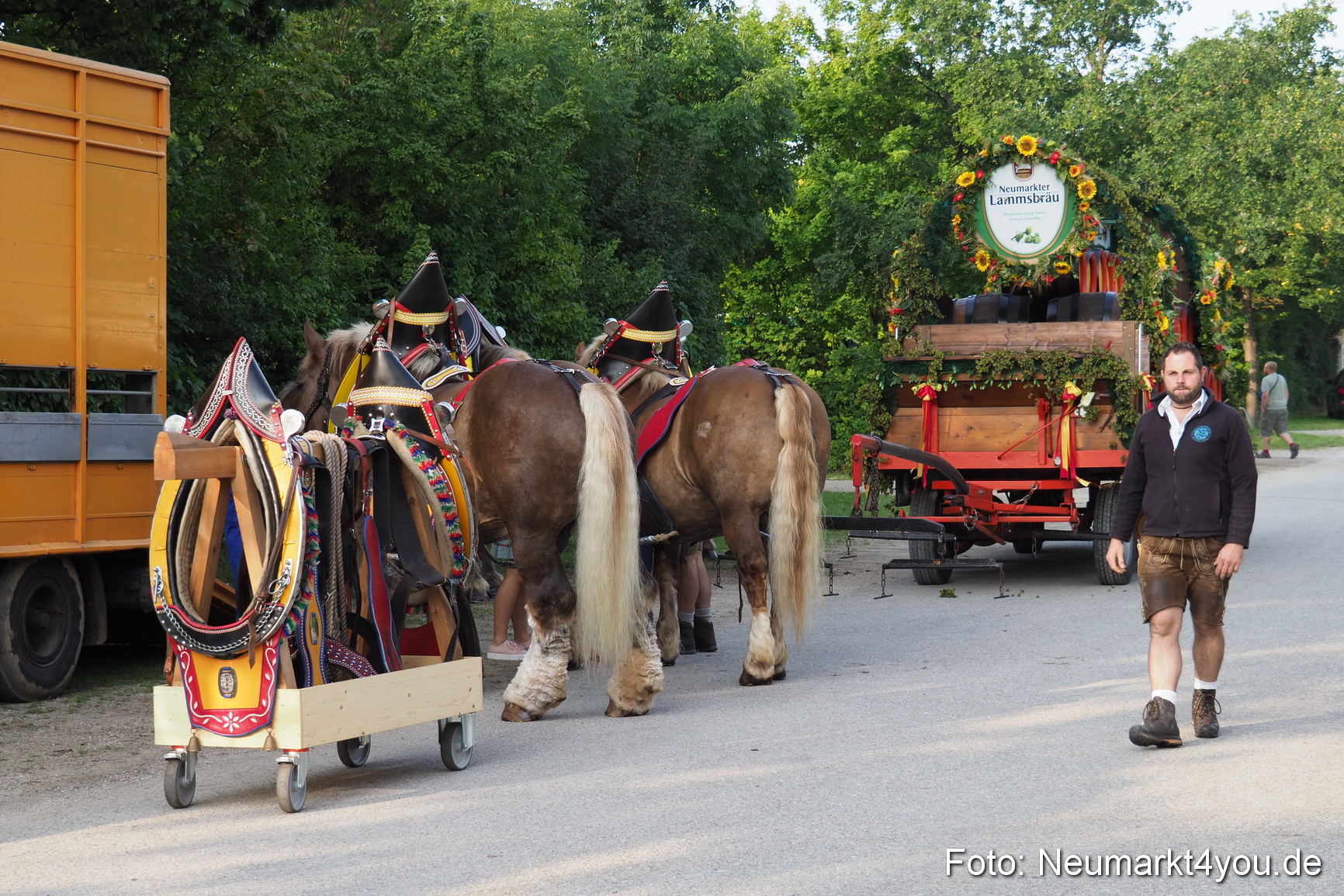 Pferde und Fohlenschau 2017 0002