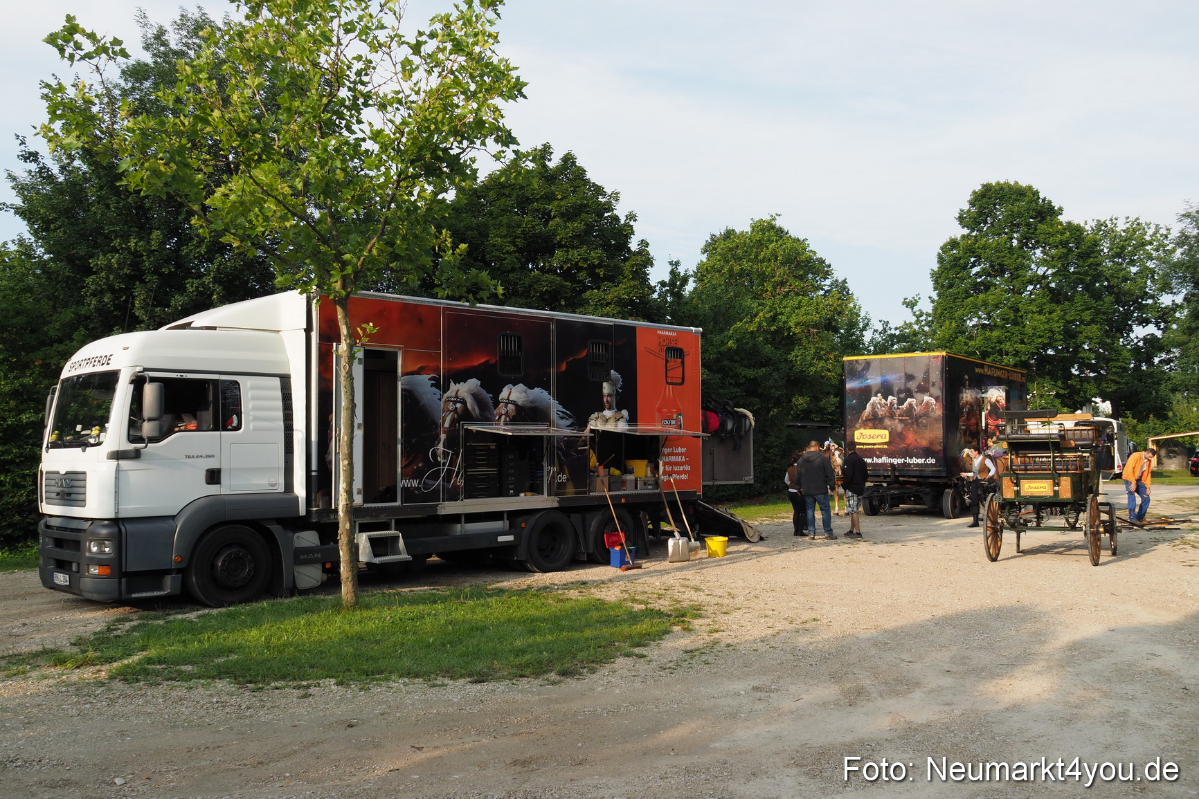 Pferde und Fohlenschau 2017 0003