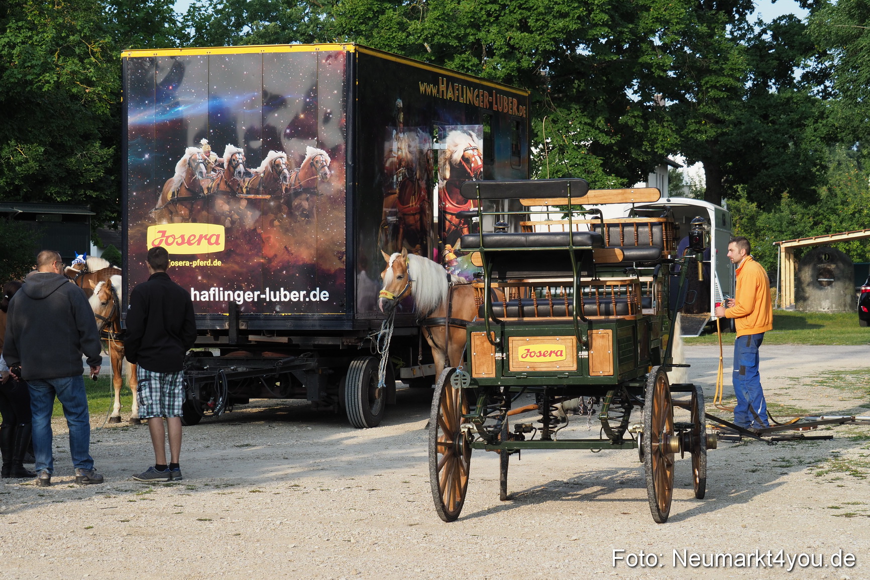 Pferde und Fohlenschau 2017 0004