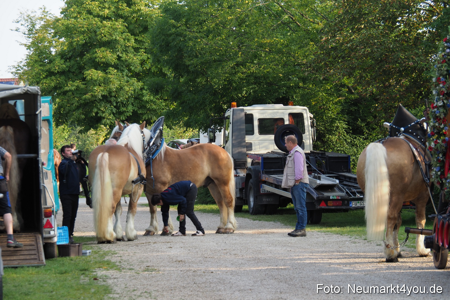 Pferde und Fohlenschau 2017 0006