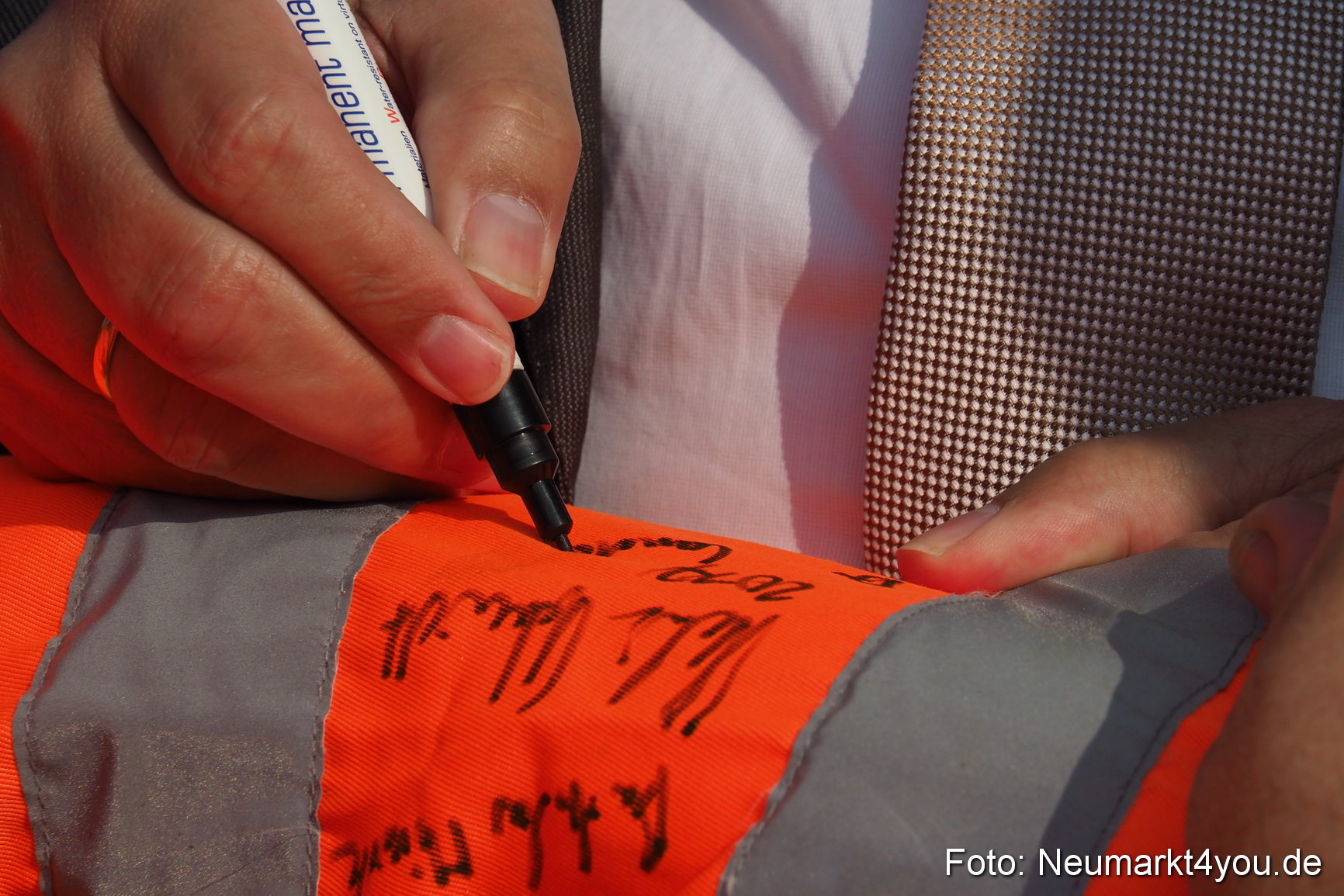 Pferde und Fohlenschau 2017 0008