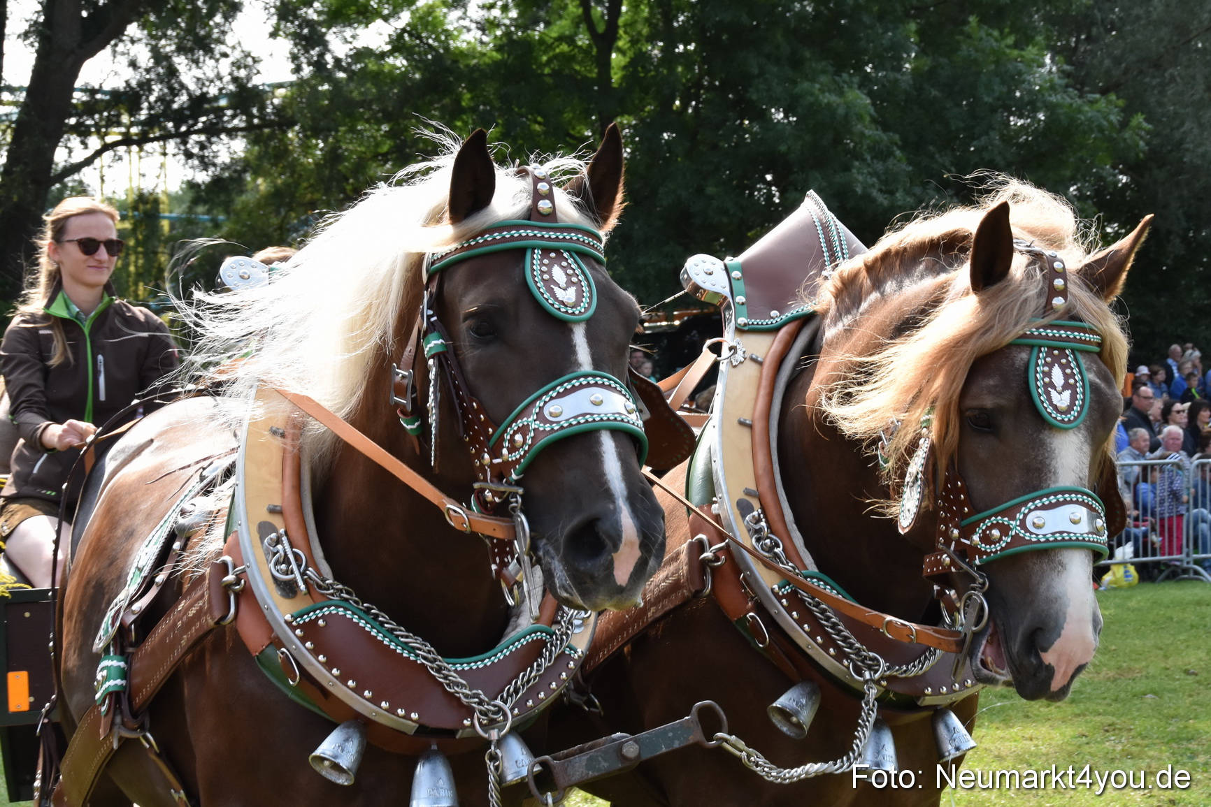 Pferde und Fohlenschau 2017 0018