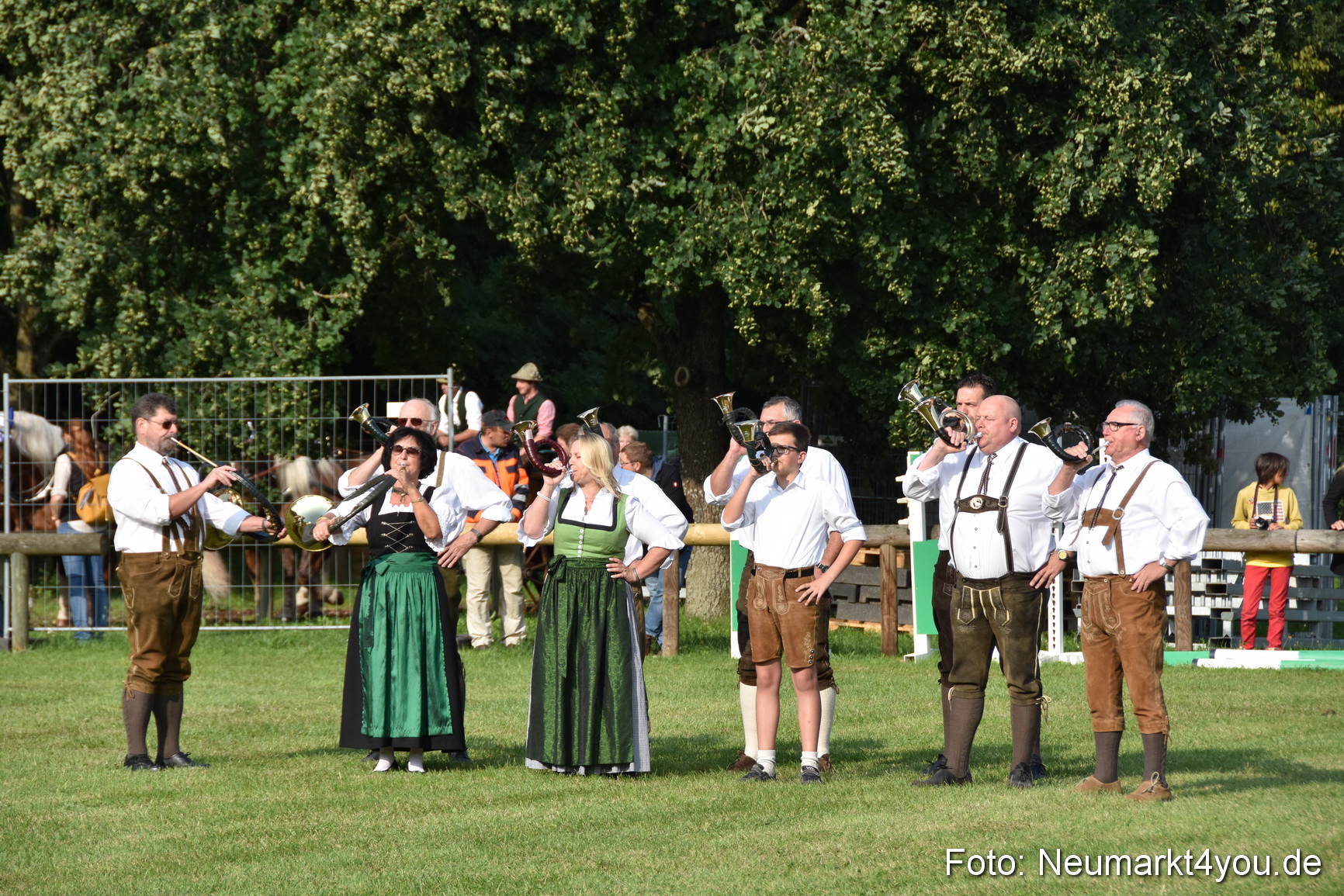 Pferde und Fohlenschau 2017 0019