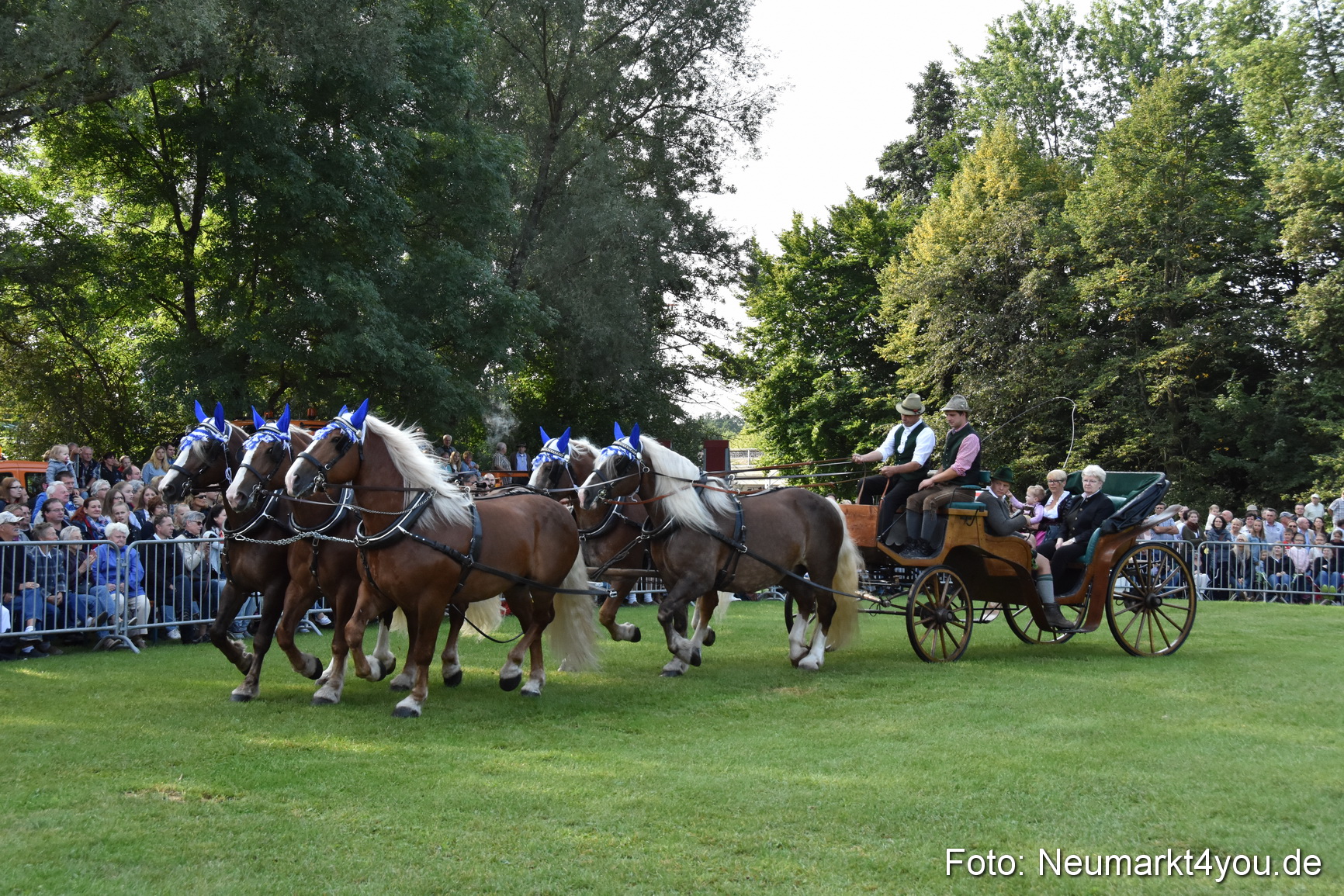 Pferde und Fohlenschau 2017 0020