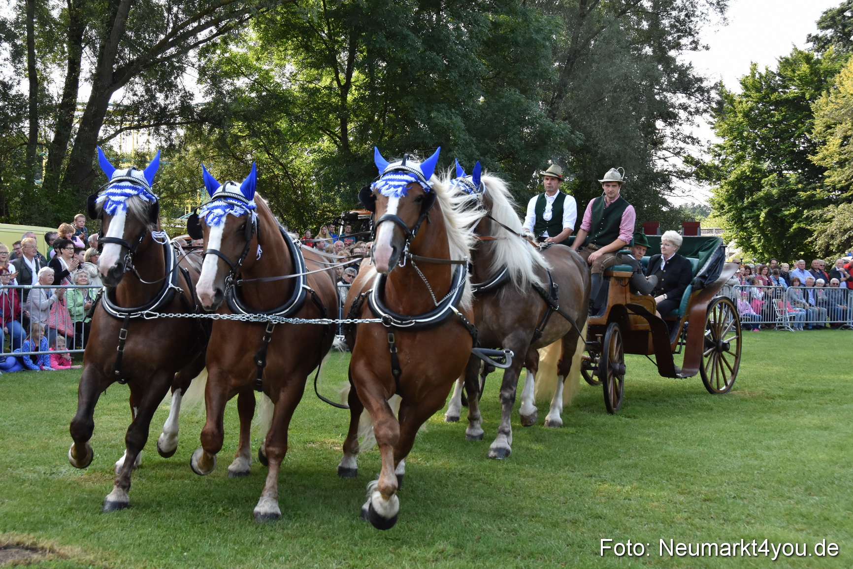 Pferde und Fohlenschau 2017 0021