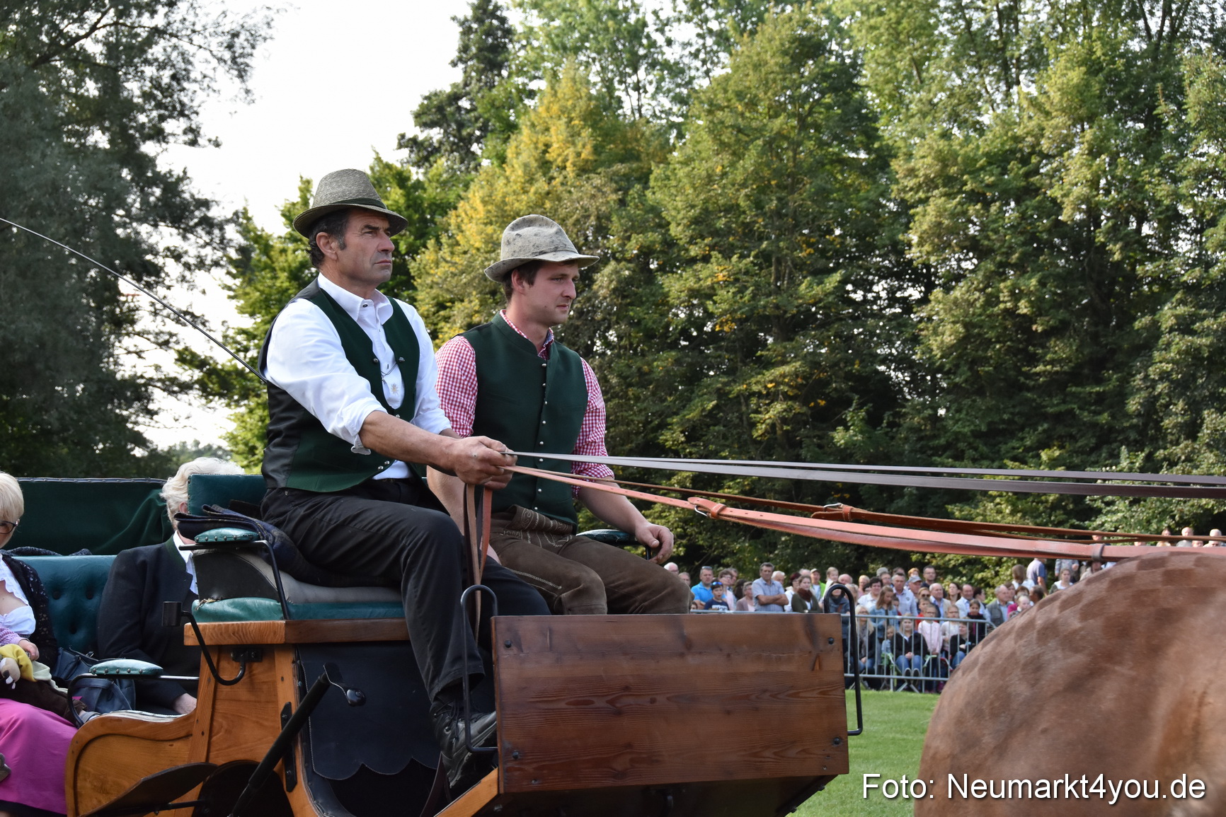 Pferde und Fohlenschau 2017 0022