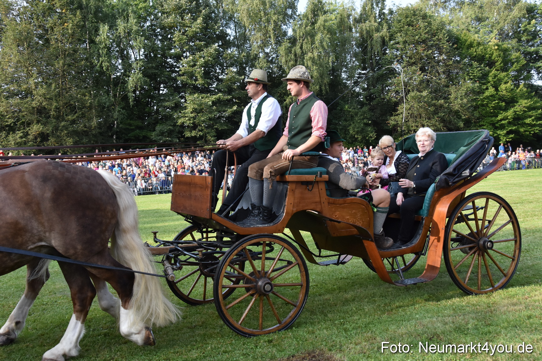 Pferde und Fohlenschau 2017 0024