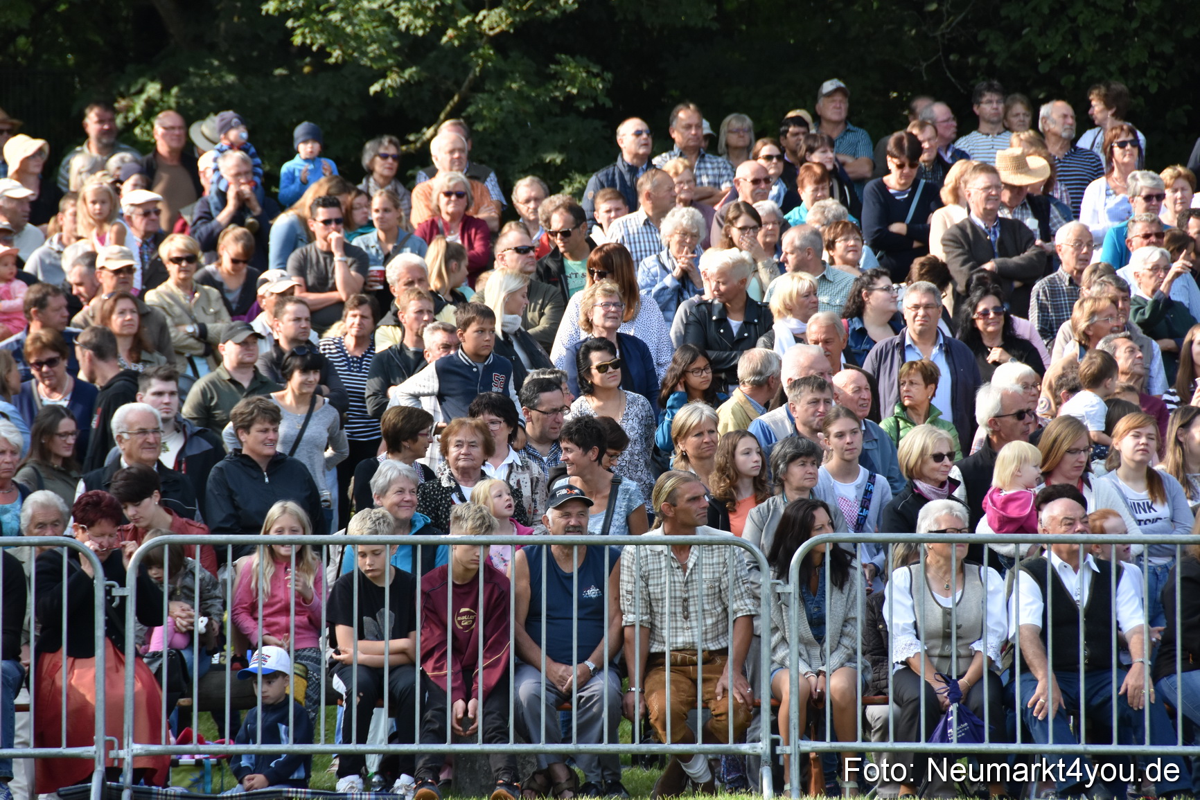 Pferde und Fohlenschau 2017 0026