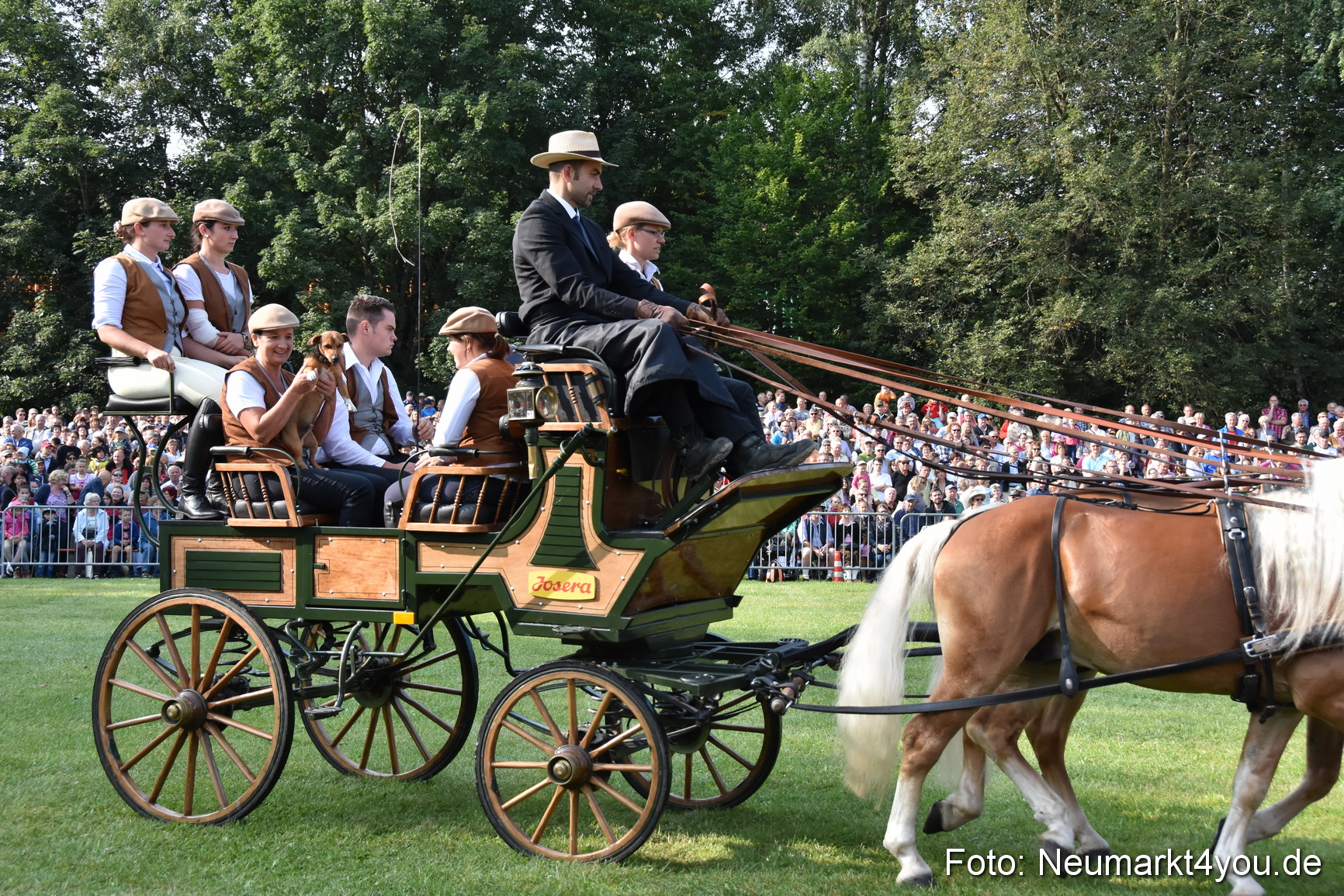 Pferde und Fohlenschau 2017 0034