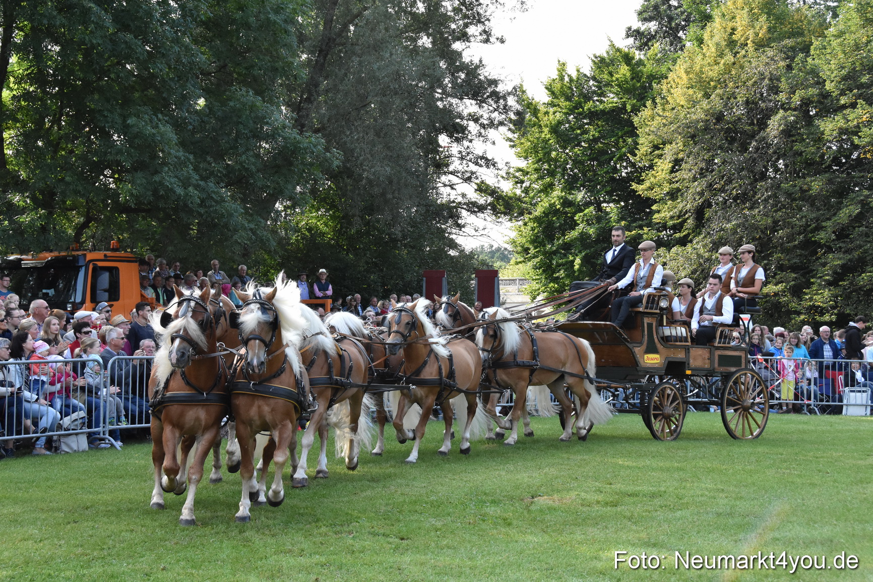 Pferde und Fohlenschau 2017 0036