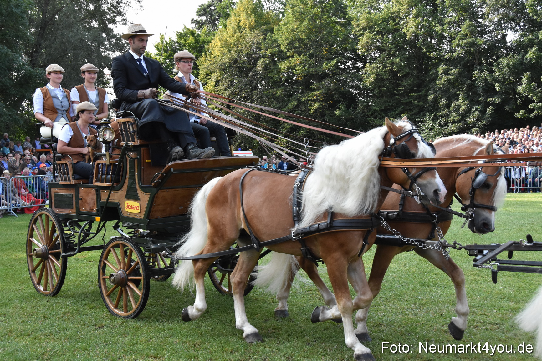 Pferde und Fohlenschau 2017 0038