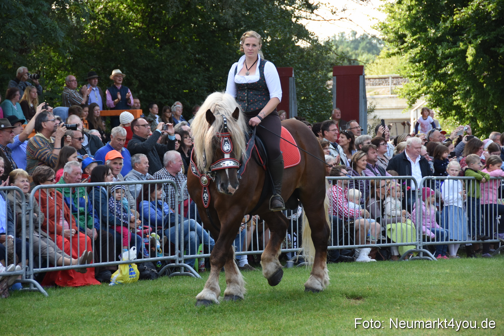 Pferde und Fohlenschau 2017 0041