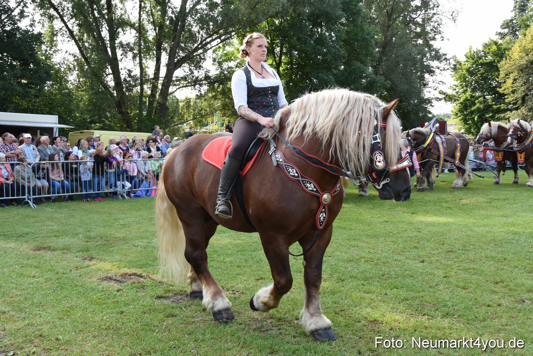 Pferde und Fohlenschau 2017 0042