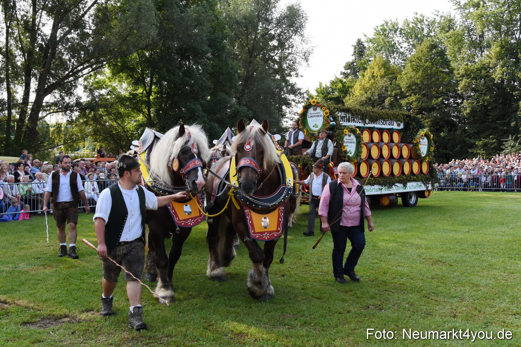 Pferde und Fohlenschau 2017 0043