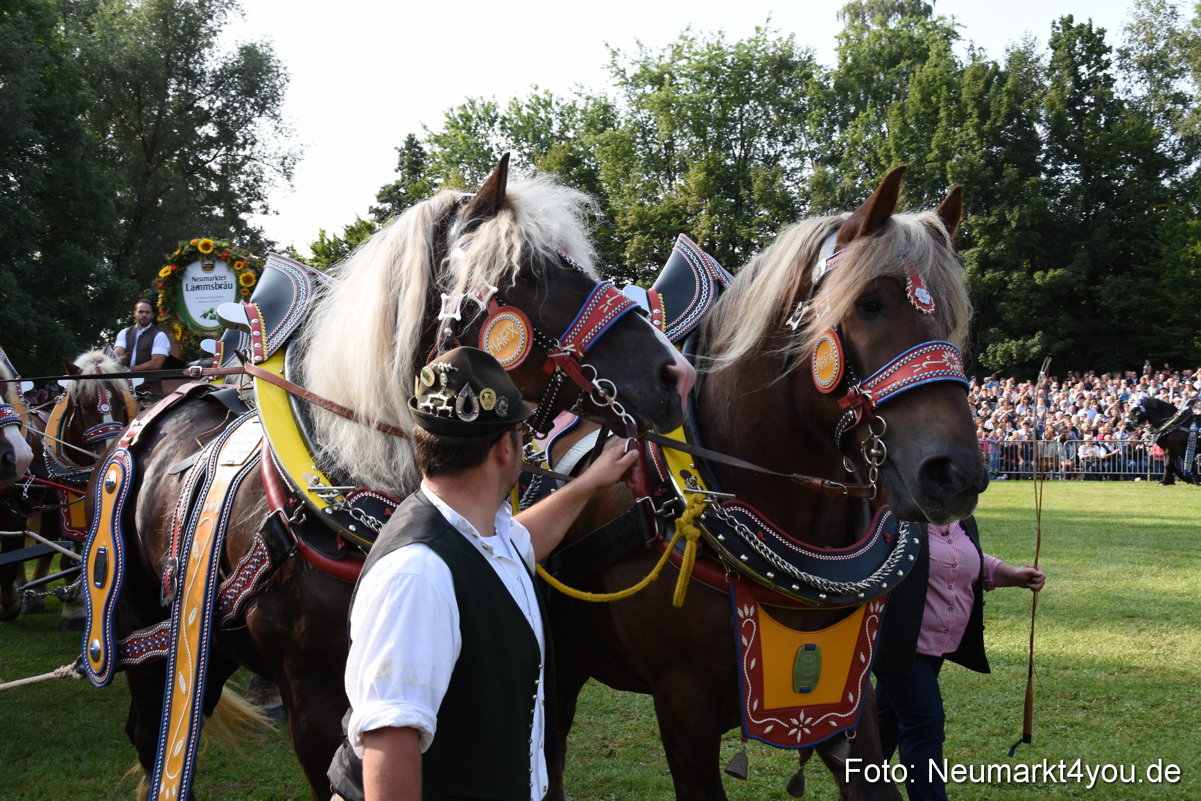Pferde und Fohlenschau 2017 0044