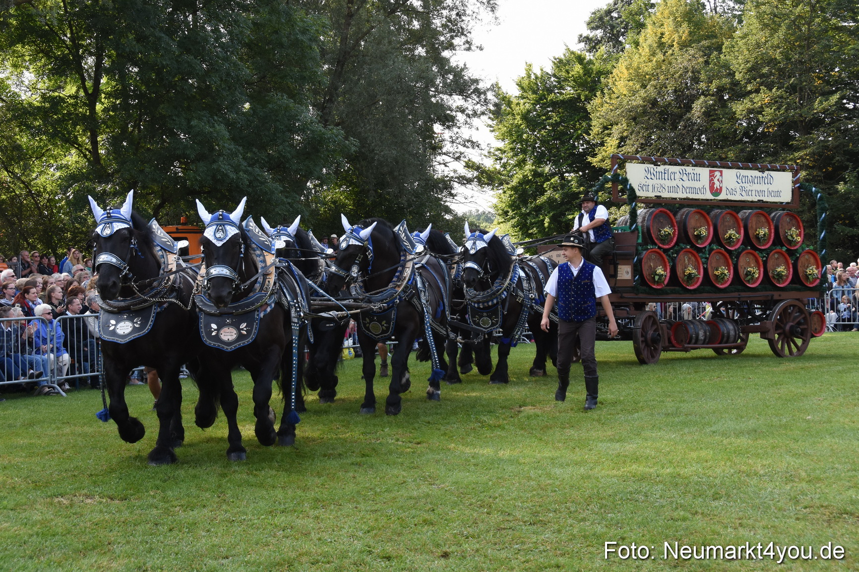 Pferde und Fohlenschau 2017 0046