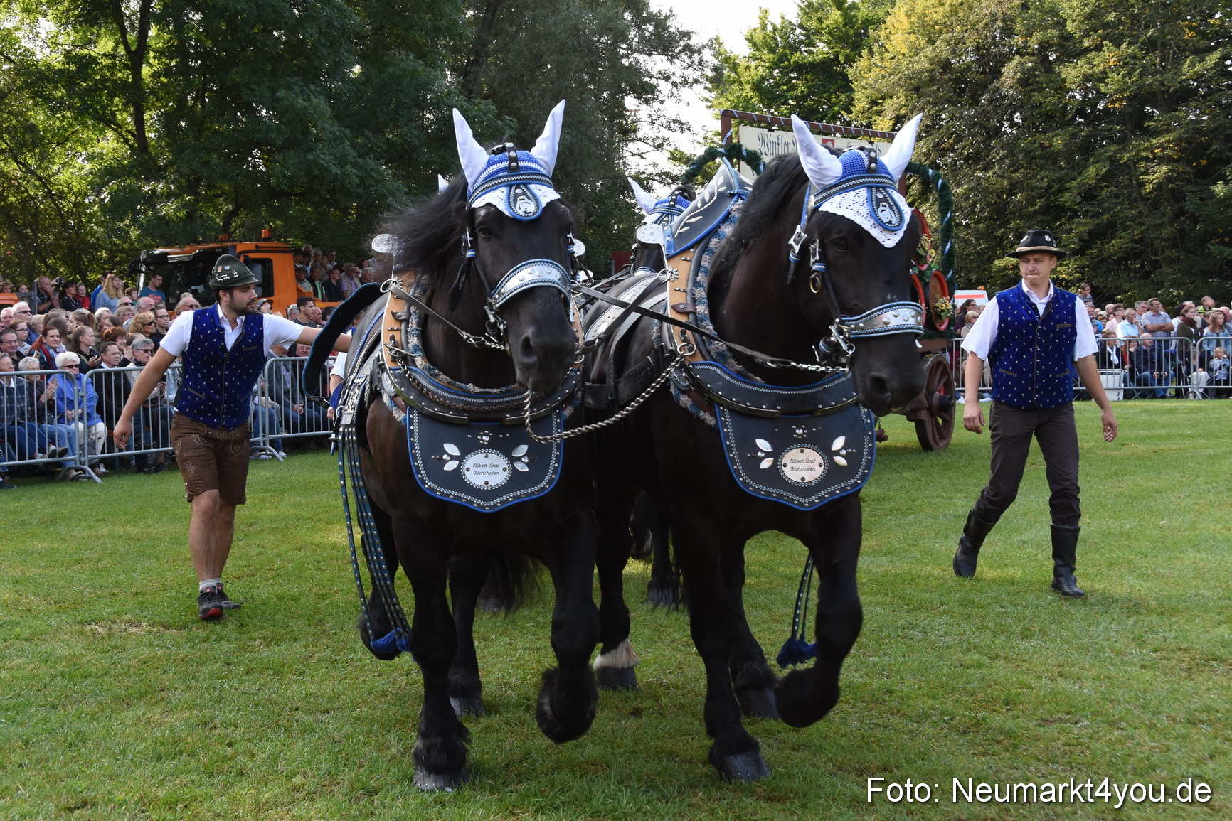 Pferde und Fohlenschau 2017 0047