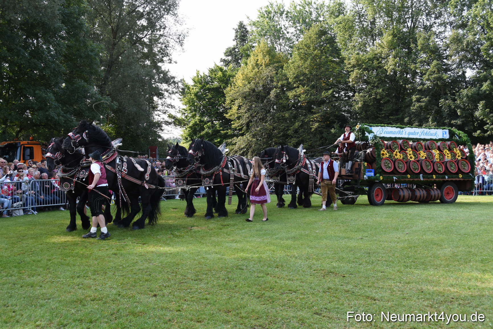 Pferde und Fohlenschau 2017 0048