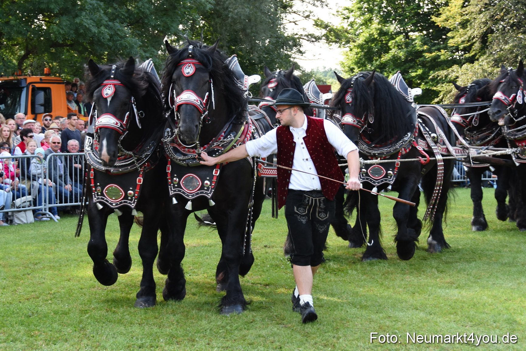 Pferde und Fohlenschau 2017 0049