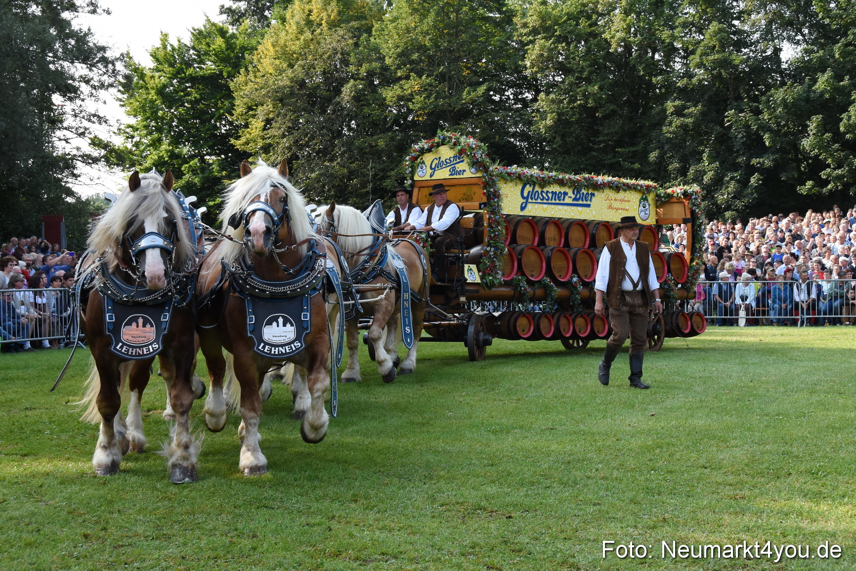 Pferde und Fohlenschau 2017 0050